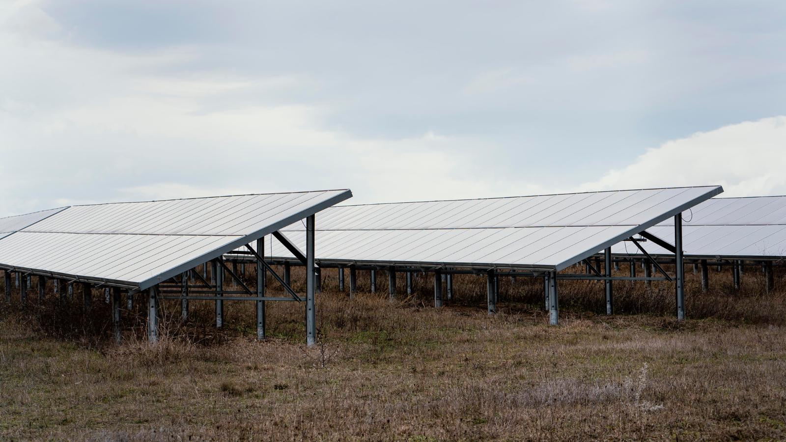 loop-paneles-solares